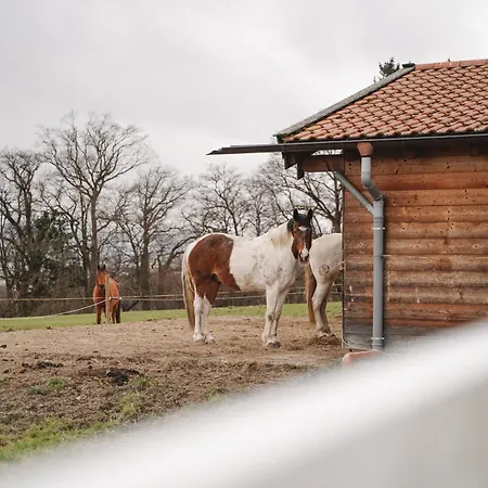 Black Horse Family - Barrierearm - Pfotenglueck - Familienzeit By Loewenherz Homes 公寓