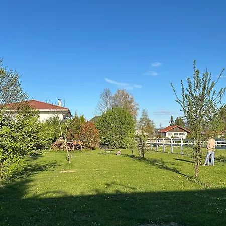 Black Horse Family - Barrierearm - Pfotenglueck - Familienzeit By Loewenherz Homes 公寓 Stephanskirchen