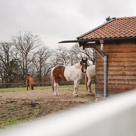 Black Horse Family - Barrierearm - Pfotenglueck - Familienzeit By Loewenherz Homes Apartment